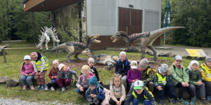 Dinopark - 1748441942_IMG_3172.jpeg