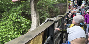 Dinopark - 1748441953_IMG_3181.jpeg