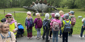 Dinopark - 1748441973_IMG_3195.jpeg