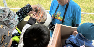 Dinopark - 1748441980_IMG_3206.jpeg