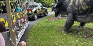 Dinopark - 1748441983_IMG_3213.jpeg