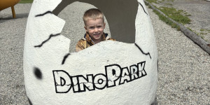 Dinopark - 1748442007_IMG_3246.jpeg