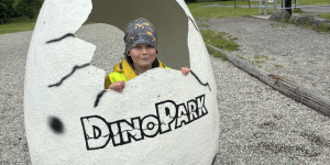 Dinopark - 1748442012_IMG_3252.jpeg