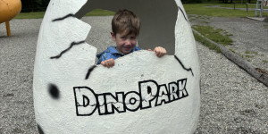 Dinopark - 1748442020_IMG_3256.jpeg
