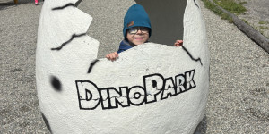 Dinopark - 1748442024_IMG_3259.jpeg