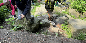 Dinopark - 1748442053_IMG_3279.jpeg
