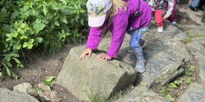 Dinopark - 1748442054_IMG_3282.jpeg