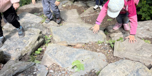 Dinopark - 1748442056_IMG_3284.jpeg