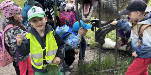 Dinopark - 1748442058_IMG_3286.jpeg