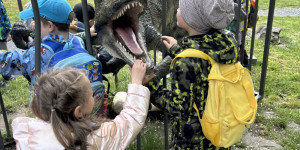 Dinopark - 1748442060_IMG_3288.jpeg