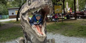 Dinopark - 1748442069_IMG_3323.jpeg