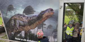 Dinopark - 1748442073_IMG_3327.jpeg