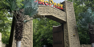 DinoPark - 1748595366_IMG_3893.jpeg