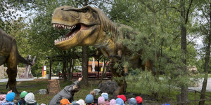 DinoPark - 1748595371_IMG_3899.jpeg