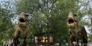 DinoPark - 1748595375_IMG_3902.jpeg