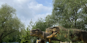 DinoPark - 1748595379_IMG_3897.jpeg