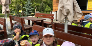 DinoPark - 1748595386_IMG_3906.jpeg