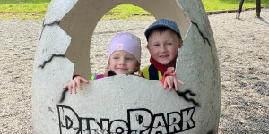 DinoPark - 1748595422_IMG_3914.jpeg