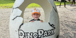DinoPark - 1748595434_IMG_3917.jpeg