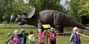 DinoPark - 1748595446_IMG_3927.jpeg