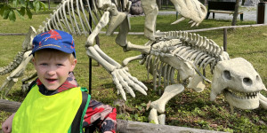 DinoPark - 1748595458_IMG_3931.jpeg