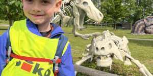 DinoPark - 1748595462_IMG_3932.jpeg
