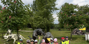 DinoPark - 1748595587_IMG_3937.jpeg