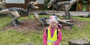 DinoPark - 1748595592_IMG_3939.jpeg