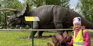 DinoPark - 1748595606_IMG_3943.jpeg