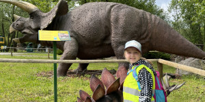 DinoPark - 1748595616_IMG_3946.jpeg
