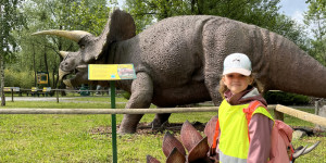 DinoPark - 1748595621_IMG_3945.jpeg