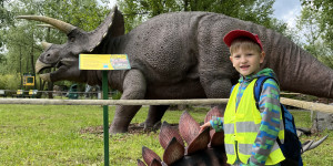 DinoPark - 1748595625_IMG_3951.jpeg