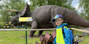 DinoPark - 1748595629_IMG_3950.jpeg