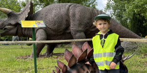 DinoPark - 1748595652_IMG_3959.jpeg