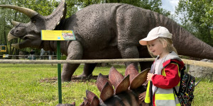 DinoPark - 1748595657_IMG_3957.jpeg