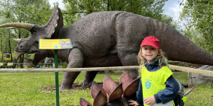 DinoPark - 1748595662_IMG_3956.jpeg
