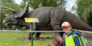 DinoPark - 1748595666_IMG_3962.jpeg