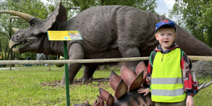 DinoPark - 1748595671_IMG_3960.jpeg