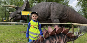 DinoPark - 1748595676_IMG_3967.jpeg