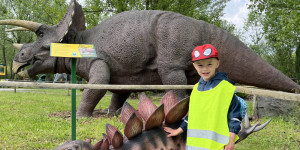 DinoPark - 1748595681_IMG_3969.jpeg