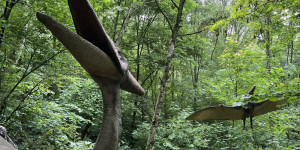 DinoPark - 1748595729_IMG_3970.jpeg