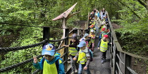 DinoPark - 1748595739_IMG_3972.jpeg