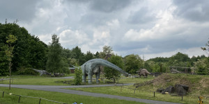 DinoPark - 1748595808_IMG_3984.jpeg