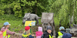DinoPark - 1748595886_IMG_3991.jpeg