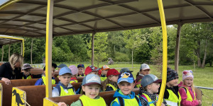 DinoPark - 1748595893_IMG_3993.jpeg