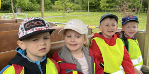 DinoPark - 1748595925_IMG_3995.jpeg