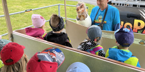 DinoPark - 1748595931_IMG_3997.jpeg