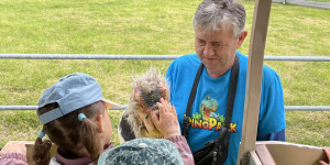 DinoPark - 1748595934_IMG_3998.jpeg