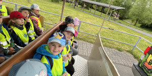 DinoPark - 1748595945_IMG_4004.jpeg