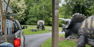 DinoPark - 1748595951_IMG_4005.jpeg
